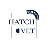 Hatchvet Academy